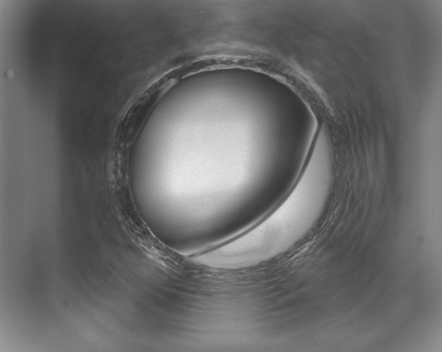 X0000071911352200607070934