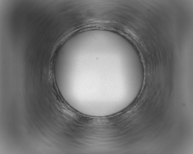 X0000071911354200607070934