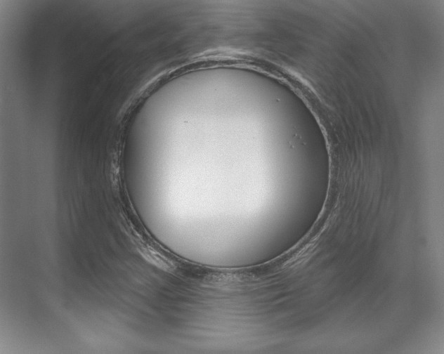 X0000071911355200607070934
