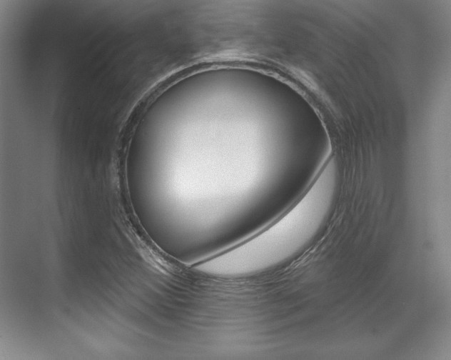 X0000071911356200607070934