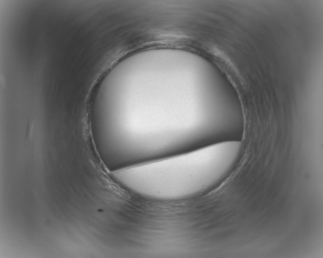 X0000071911362200607070934