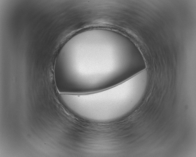 X0000071911363200607070934