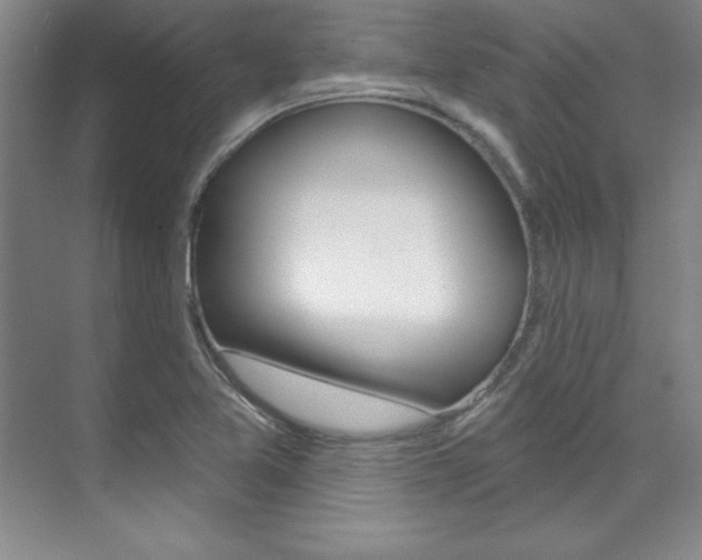 X0000071911365200607070934