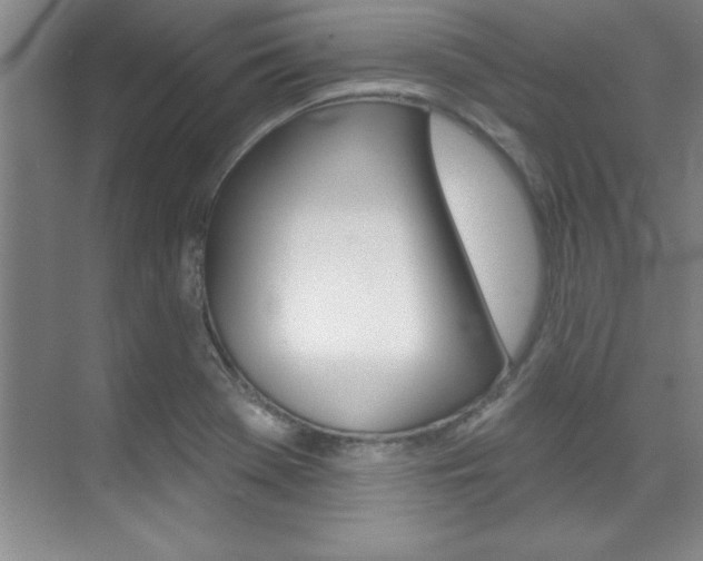 X0000071911369200607070934