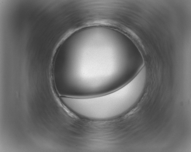X0000071911373200607070934