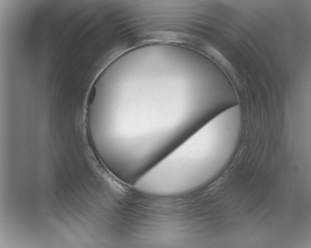 X0000071911378200607070934