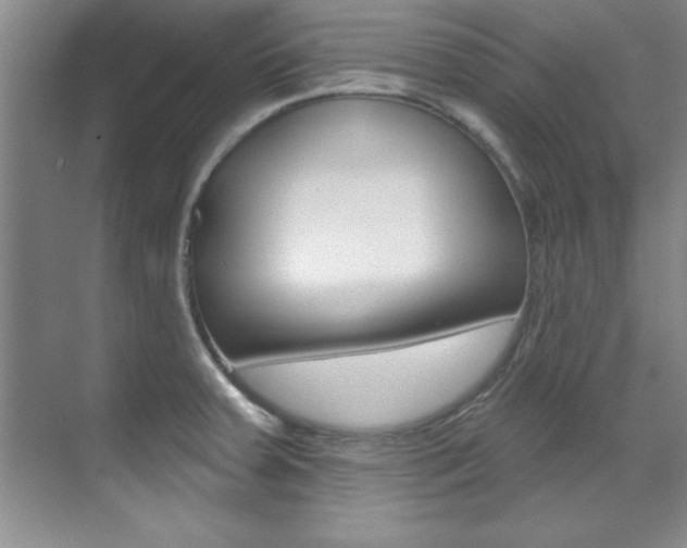 X0000071911379200607070934