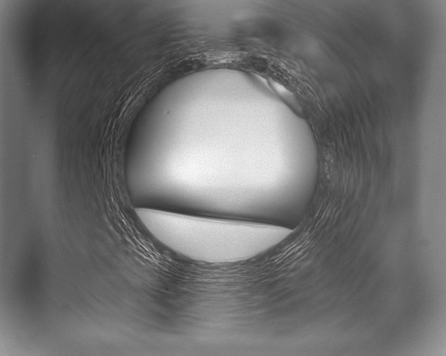X0000071911393200607070933
