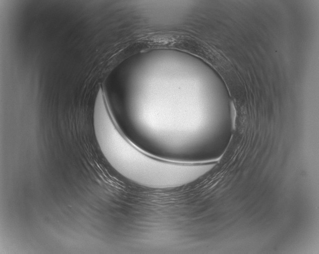 X0000071911394200607070933