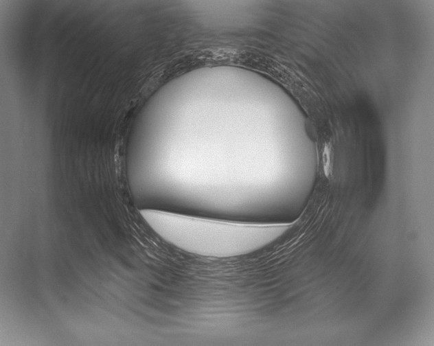 X0000071911395200607070933