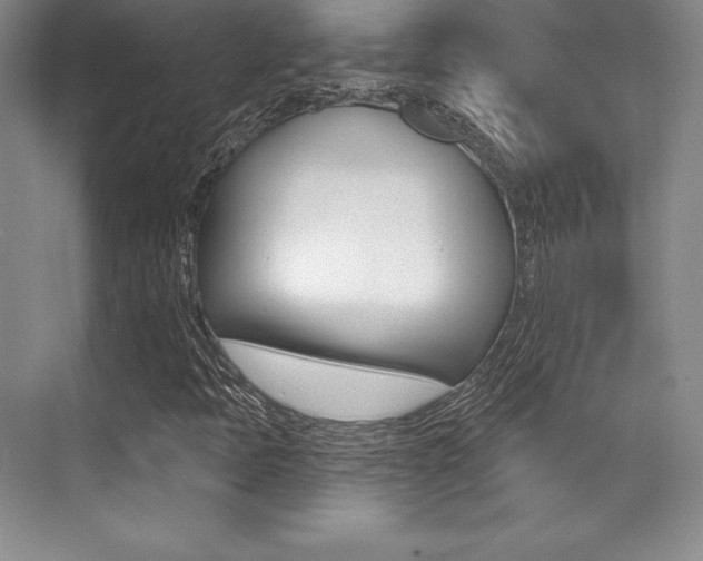 X0000071911397200607070933