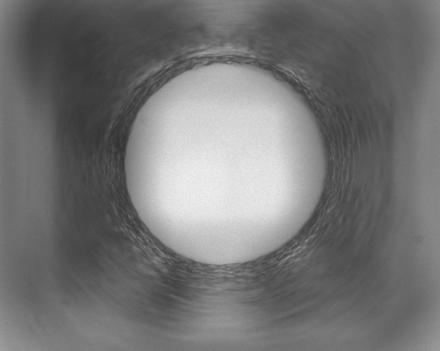 X0000071911398200607070933
