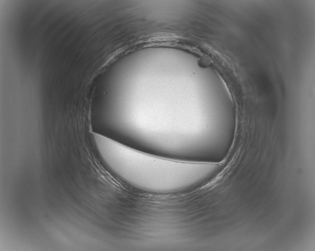 X0000071911401200607070933