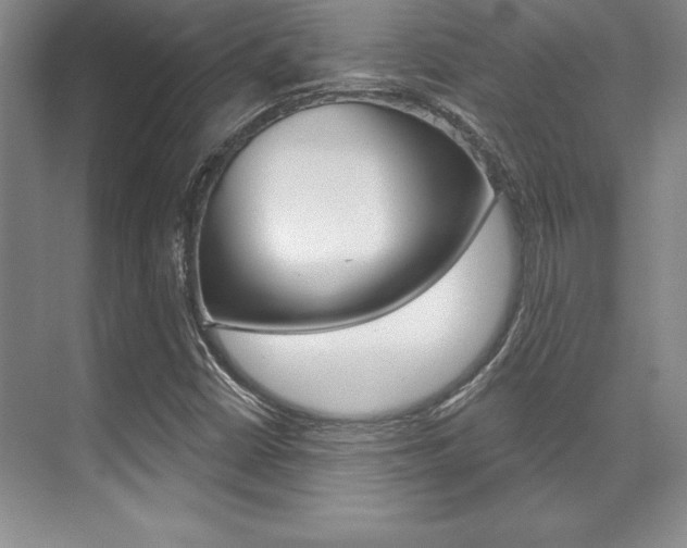 X0000071911402200607070933