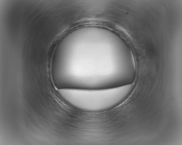 X0000071911403200607070933