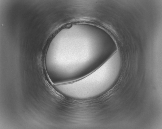 X0000071911404200607070933