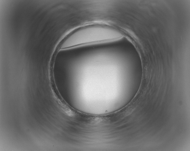 X0000071911412200607070933
