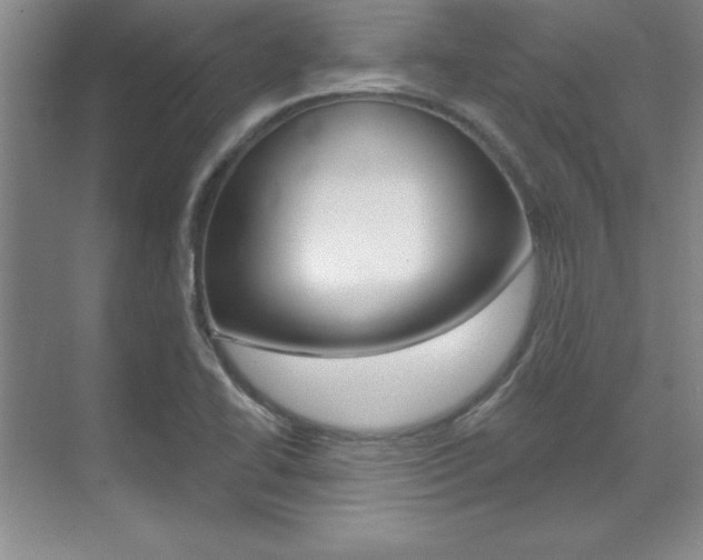 X0000071911414200607070933