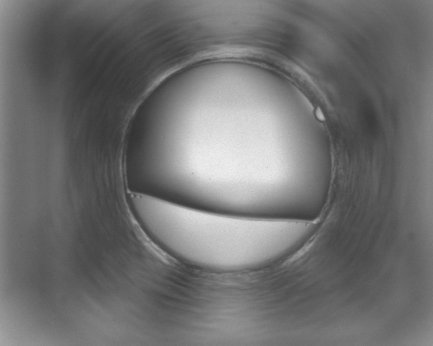 X0000071911417200607070933