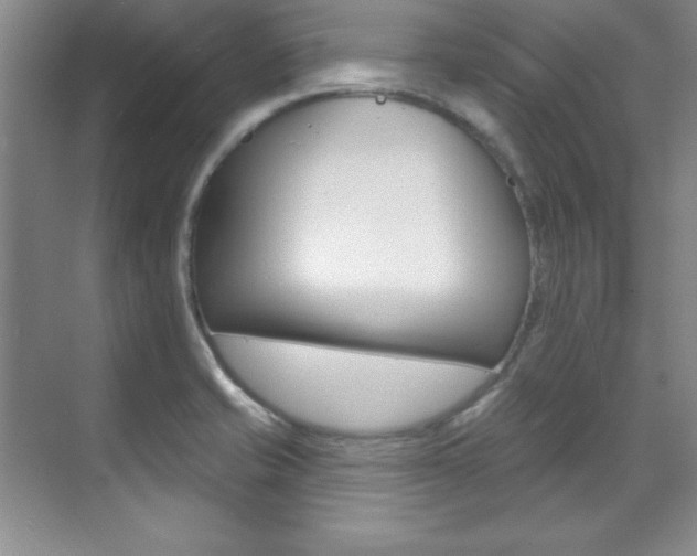 X0000071911421200607070933