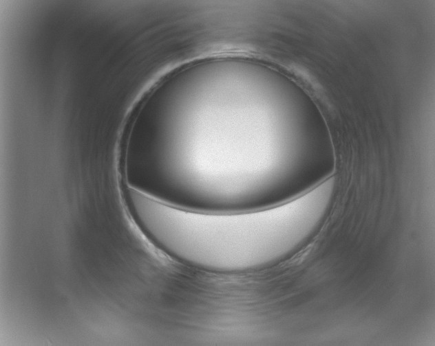 X0000071911422200607070933