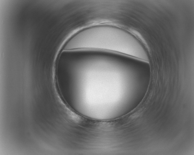 X0000071911424200607070933