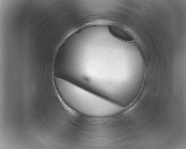 X0000071911425200607070933