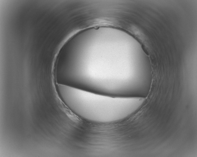 X0000071911427200607070933