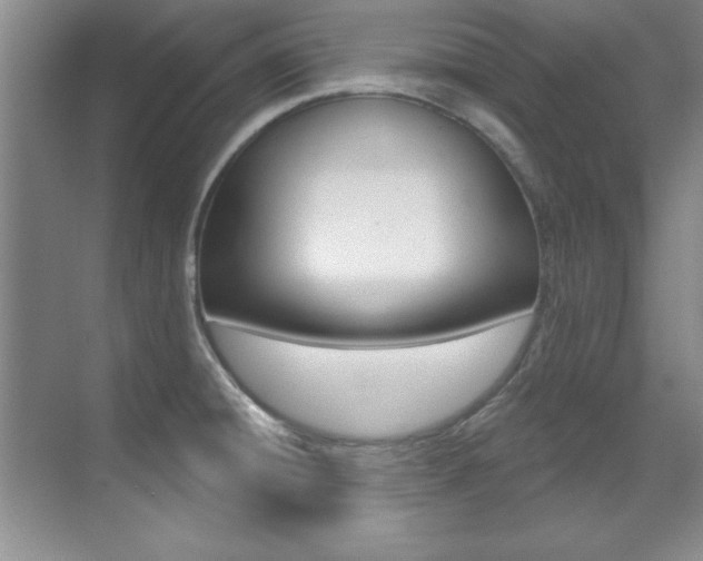 X0000071911428200607070933