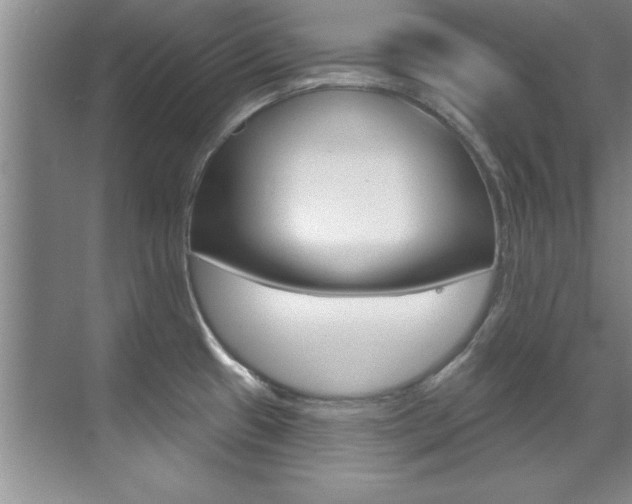 X0000071911433200607070934