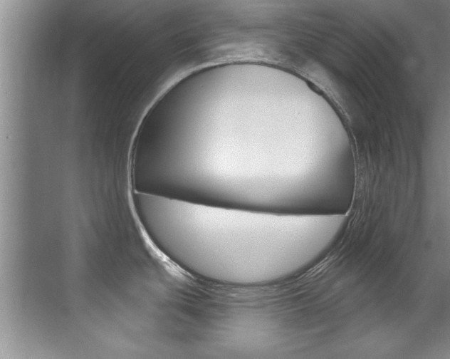 X0000071911439200607070934
