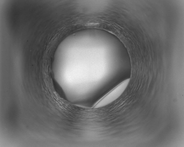 X0000071911441200607070933
