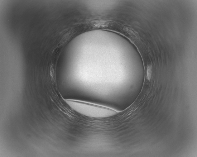 X0000071911444200607070933
