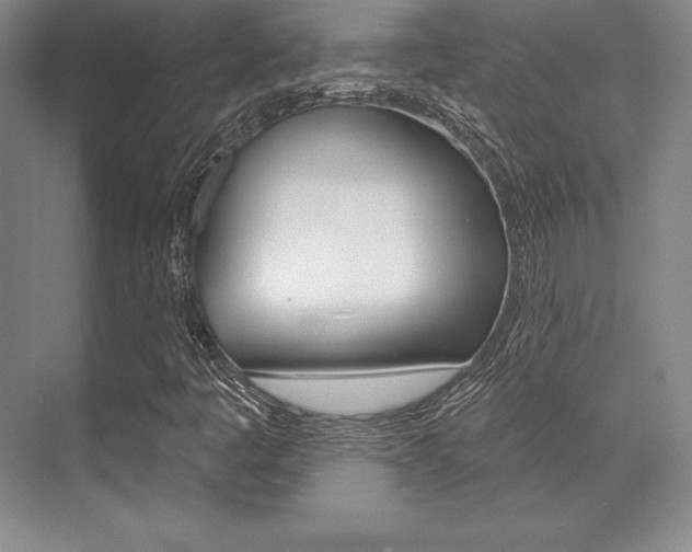 X0000071911445200607070933