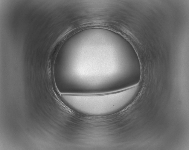X0000071911450200607070933
