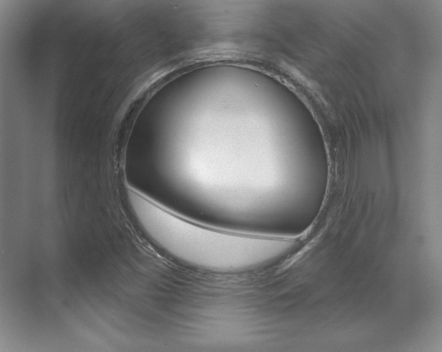 X0000071911453200607070933
