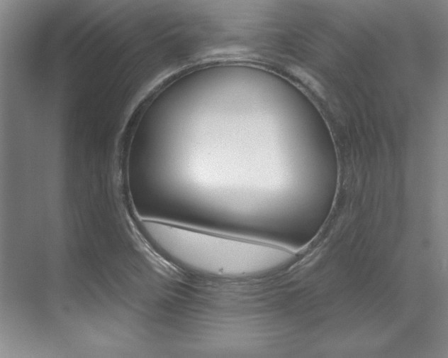 X0000071911458200607070933