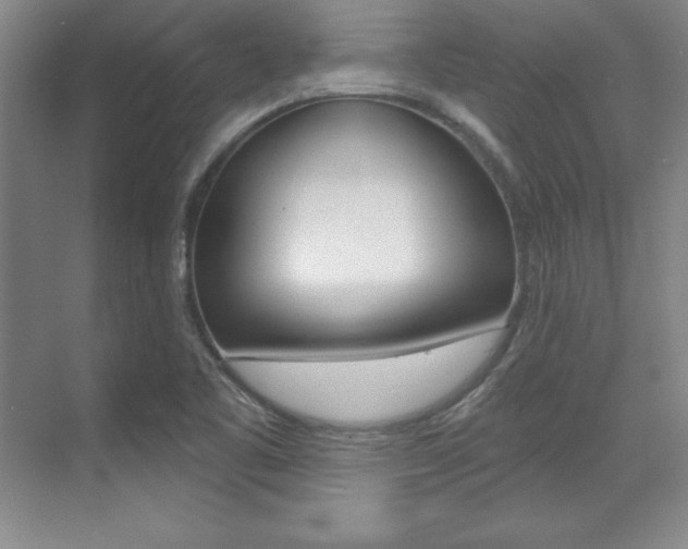 X0000071911461200607070932