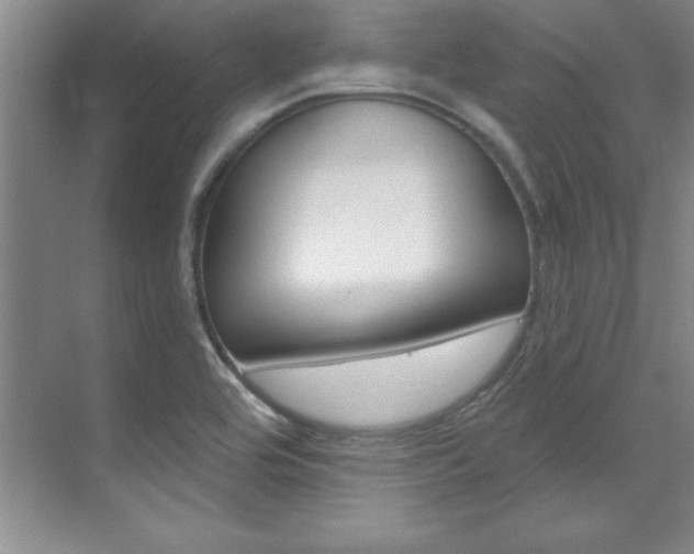 X0000071911464200607070932