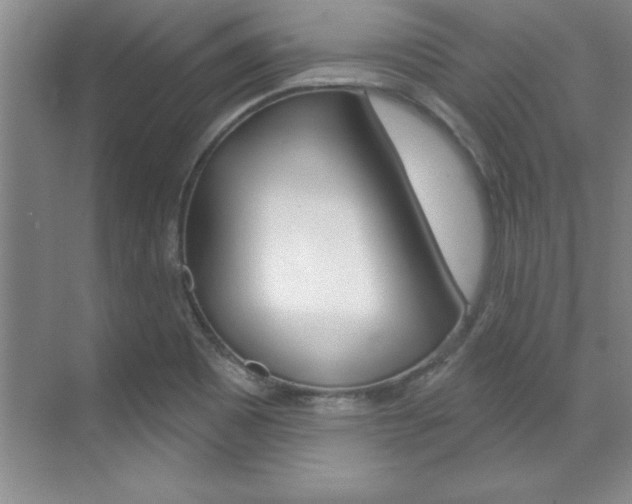 X0000071911465200607070932