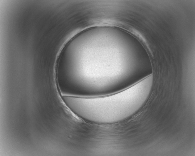 X0000071911480200607070932