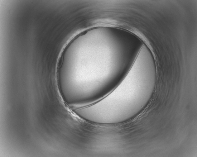 X0000071911488200607070932