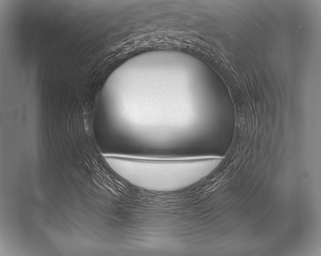 X0000071911490200607070931