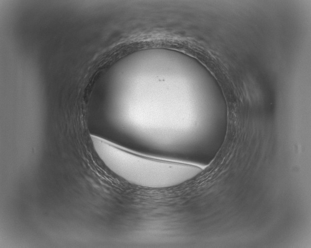 X0000071911493200607070931