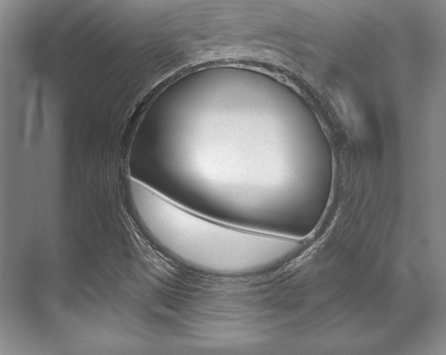 X0000071911497200607070931