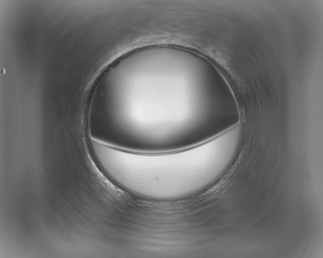 X0000071911500200607070931