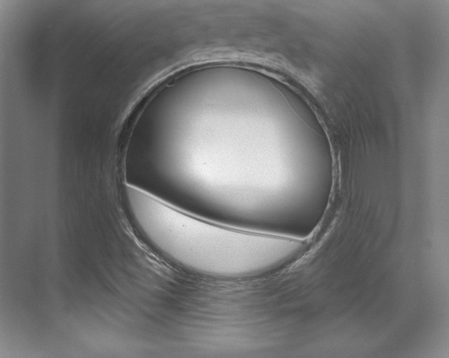 X0000071911501200607070931