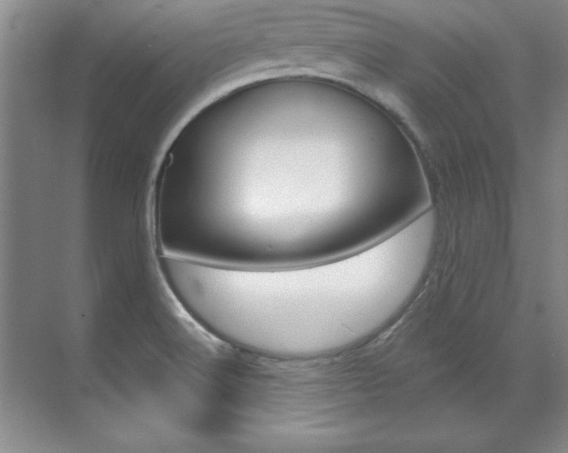 X0000071911516200607070932