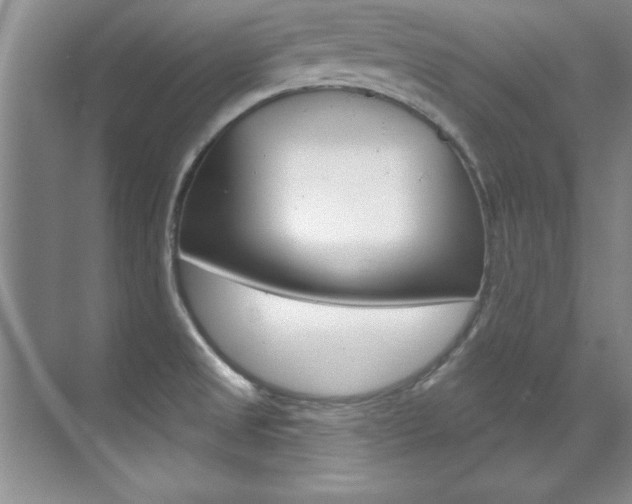 X0000071911525200607070932
