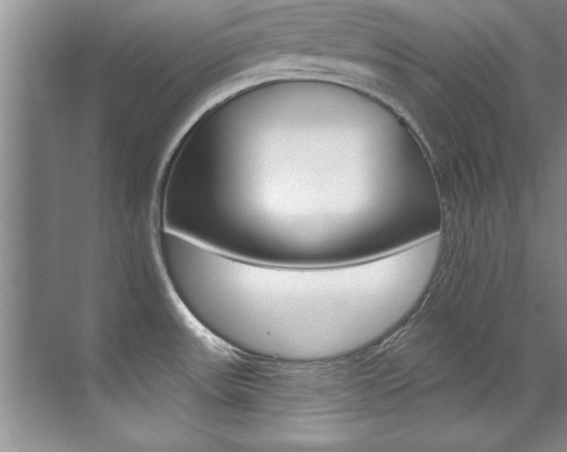 X0000071911531200607070932
